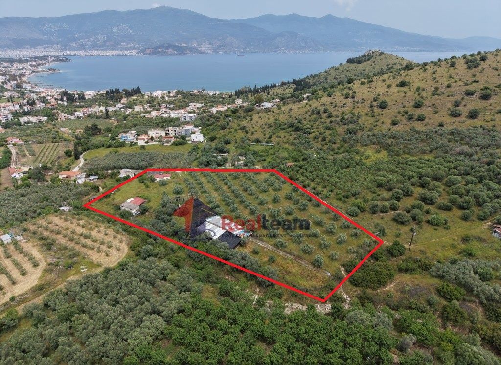 Property photo 1 of 25