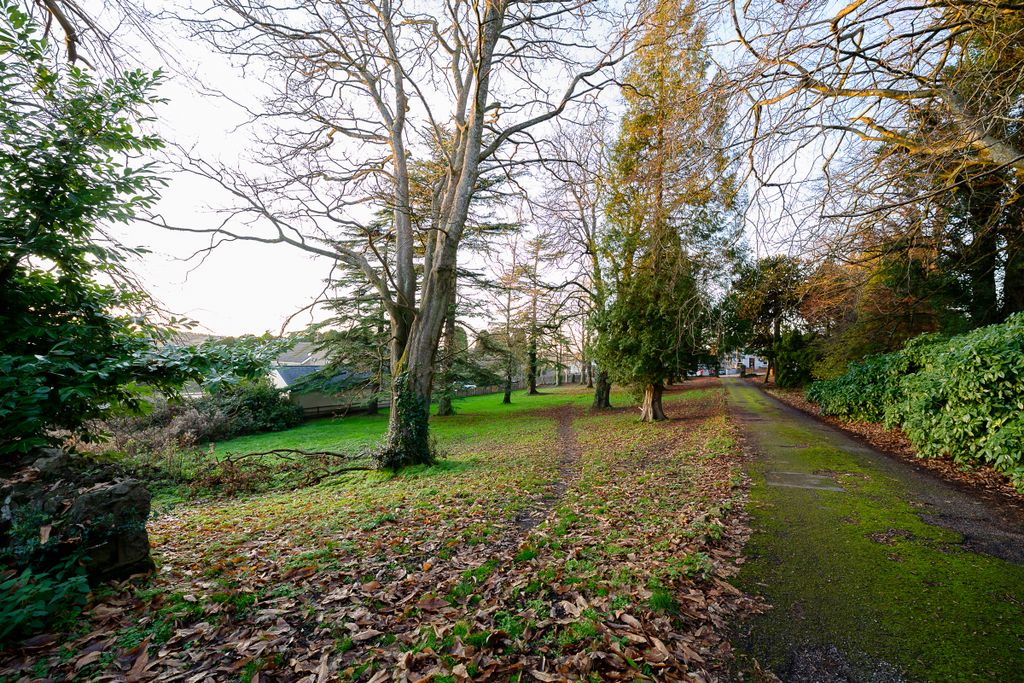 Property photo 2 of 19 Forest Lodge-43