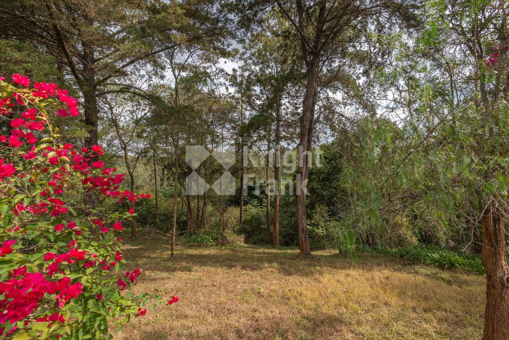 Property photo 1 of 6 Image