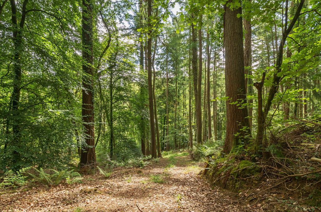 Property photo 3 of 23 Woods Nr. Stoodleigh