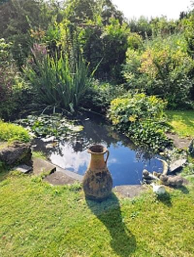 Property photo 3 of 28 Garden 1.Jpg
