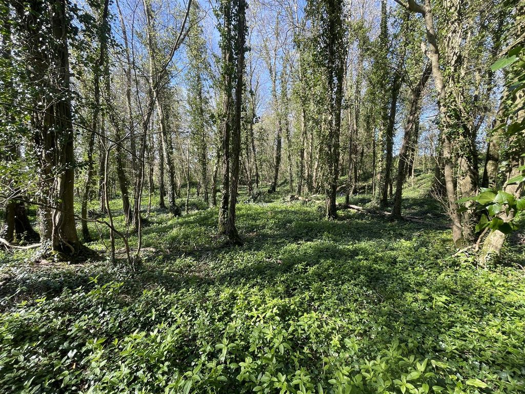 Additional image 5 of Land for saleBradford Lane, Longburton, Sherborne DT9