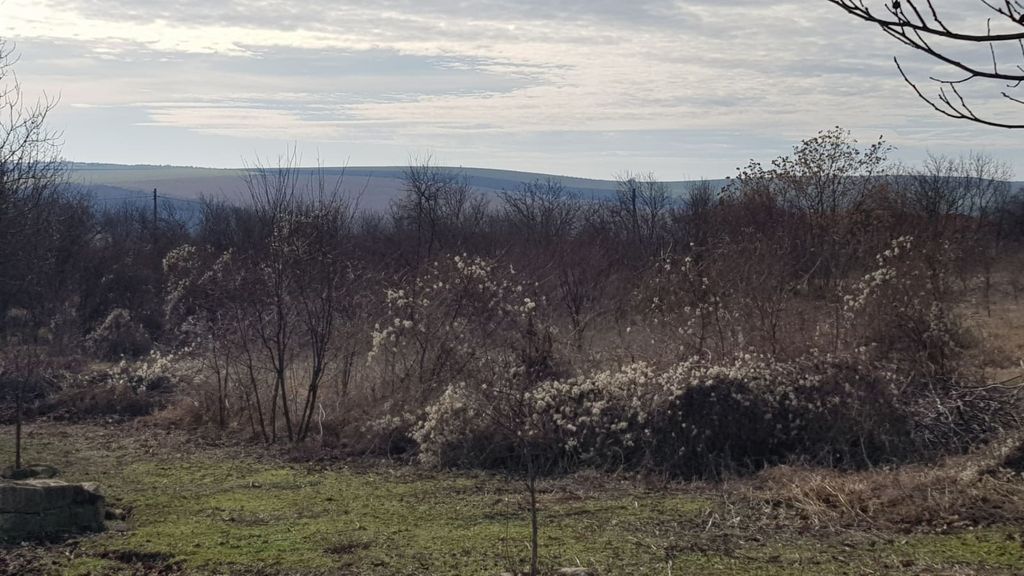 Property photo 2 of 7 A Field Covered With Dry Bushes And Small Trees, With Rolling Hills Visible In The Distance Under A Partly Cloudy Sky.