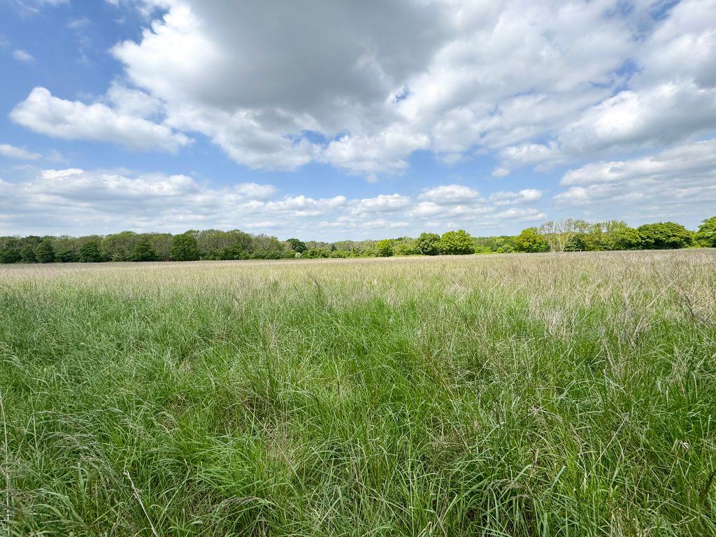 Property photo 1 of 10 1