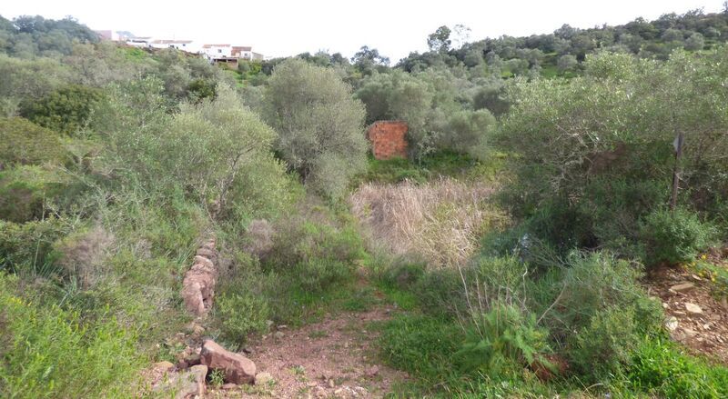 Property photo 3 of 16 Img 2