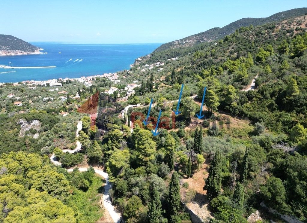 Property photo 3 of 24