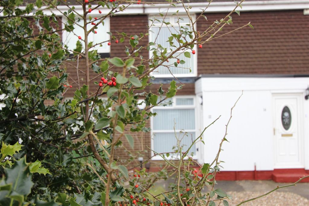 Property photo 1 of 12