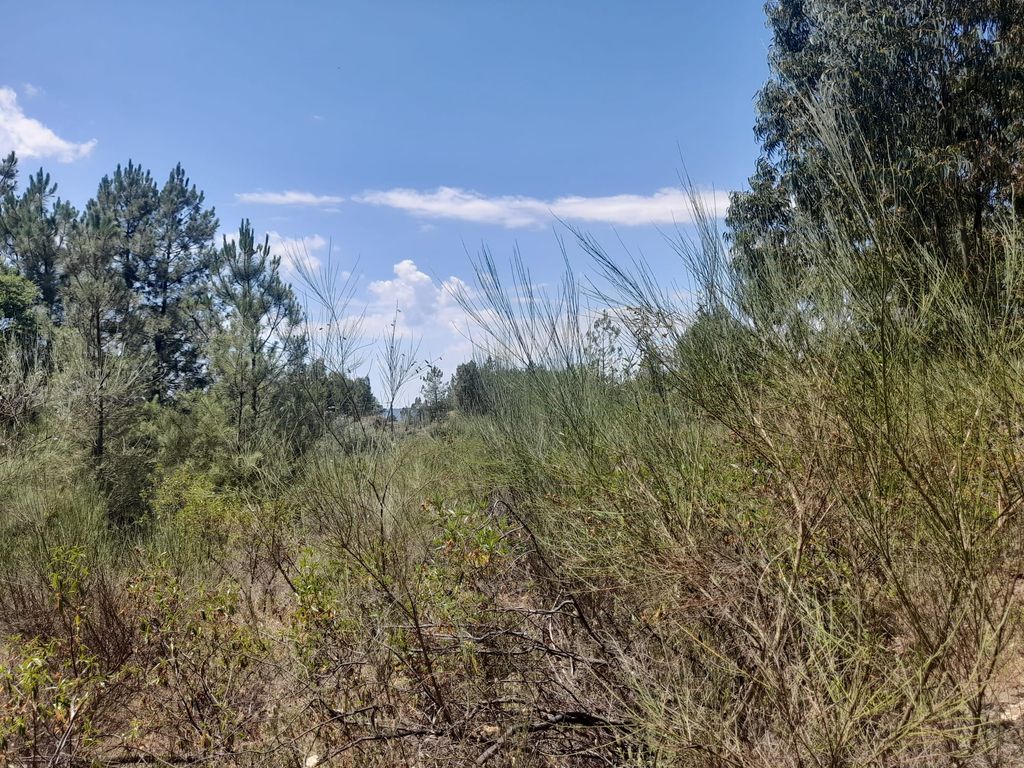 Property photo 1 of 4