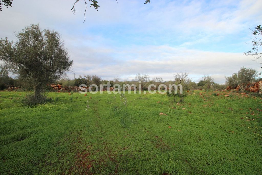 Property photo 2 of 4