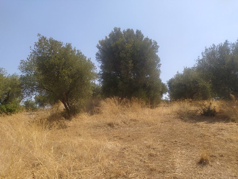 Property photo 3 of 8 Land