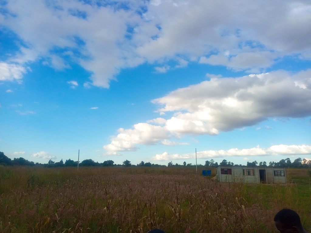 Property photo 2 of 9 Open Rural Field With Tall Brown Grasses Stretching To A Distant Tree Line, A Small Building On The Right, Under A Blue Sky With White Clouds.