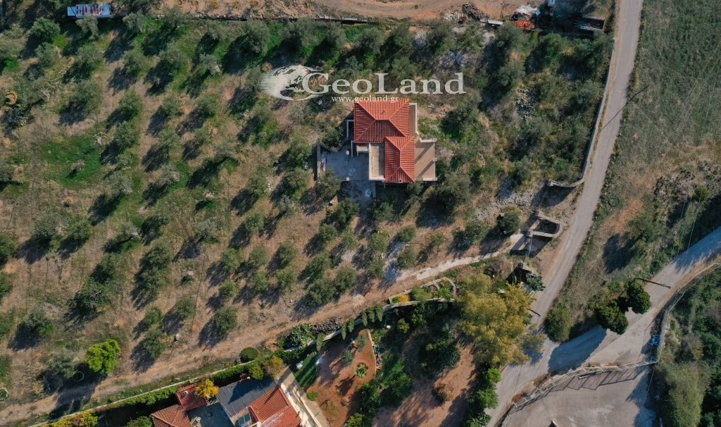 Property photo 3 of 50