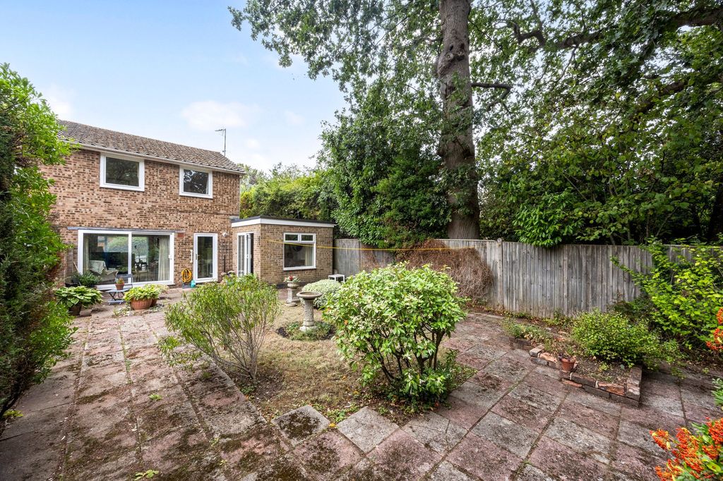 Property photo 2 of 22 Rear Garden