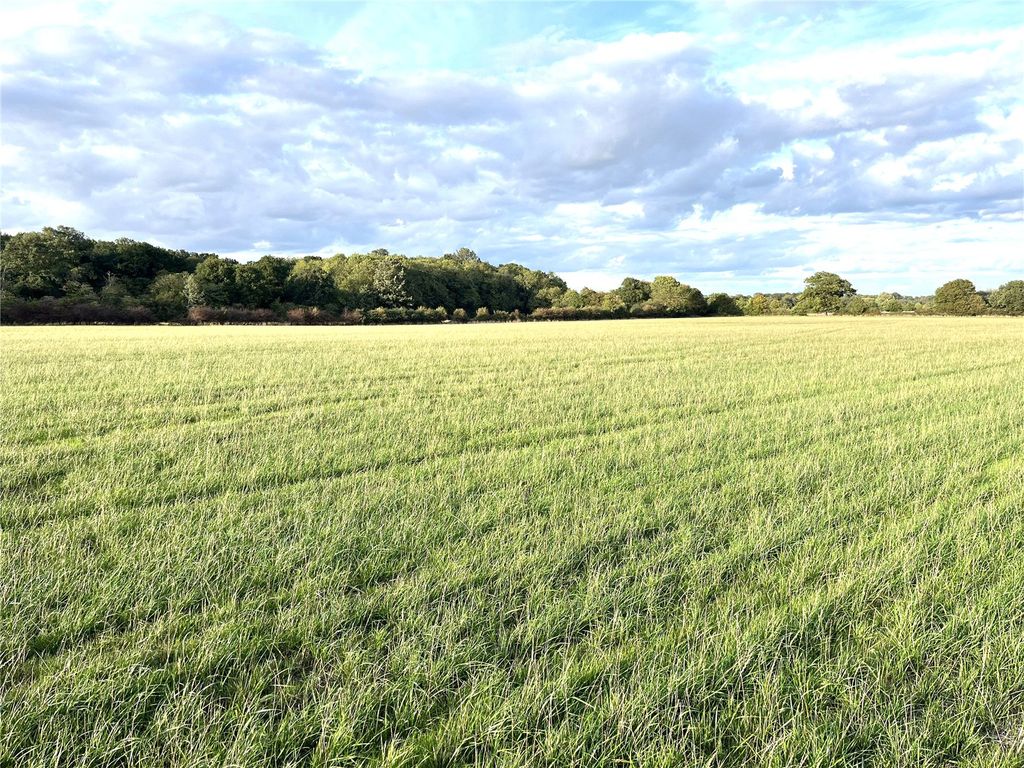 Property photo 2 of 8 Picture No. 05