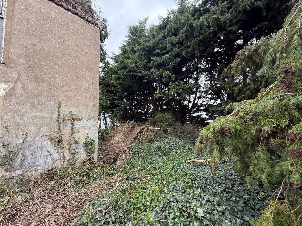 Property photo 3 of 4