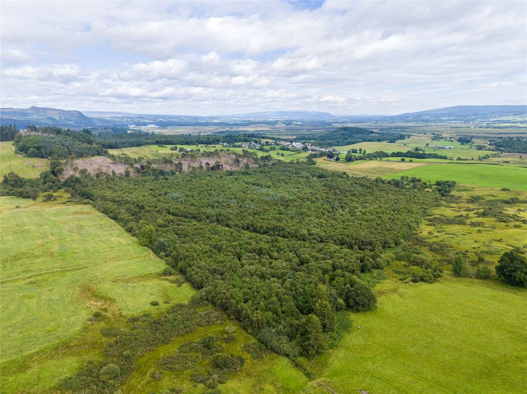 Property photo 3 of 14 Picture No. 03