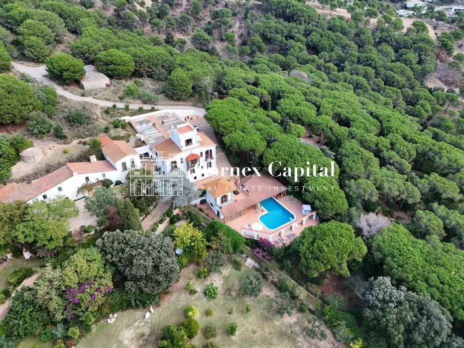Property photo 1 of 56