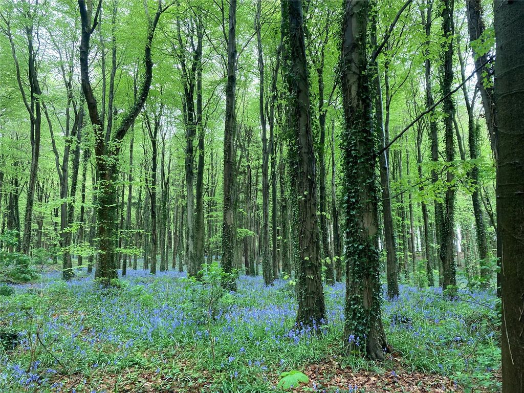 Property photo 2 of 15 Rear View