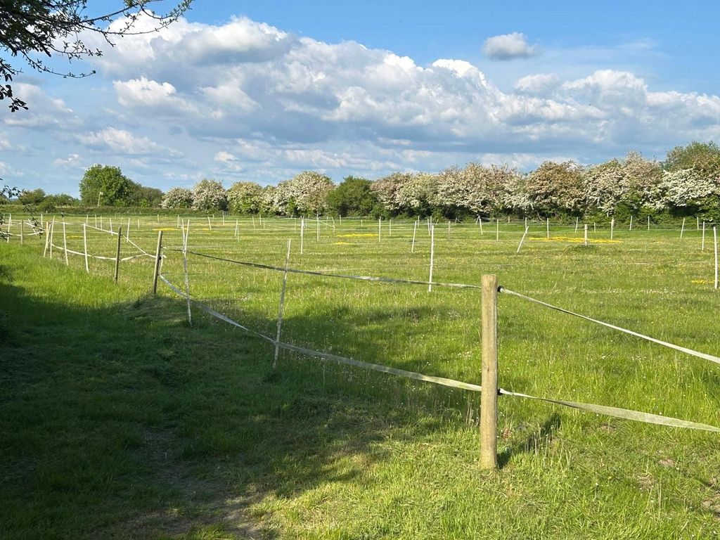 Property photo 1 of 3 Picture No. 01