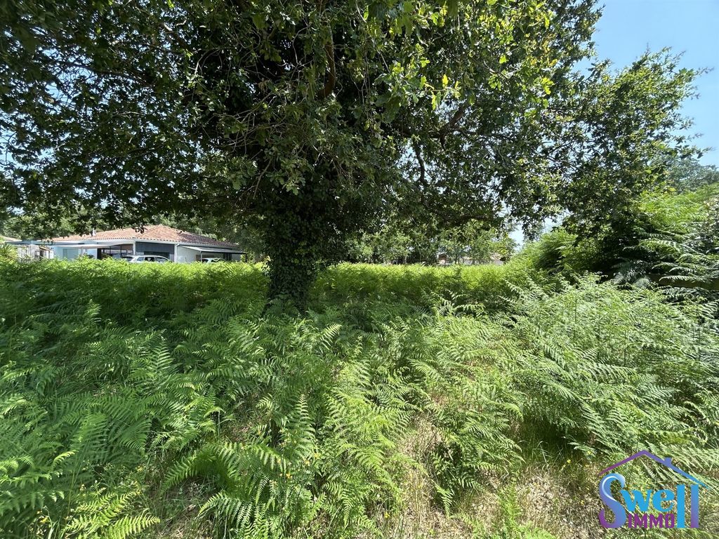 Property photo 2 of 4