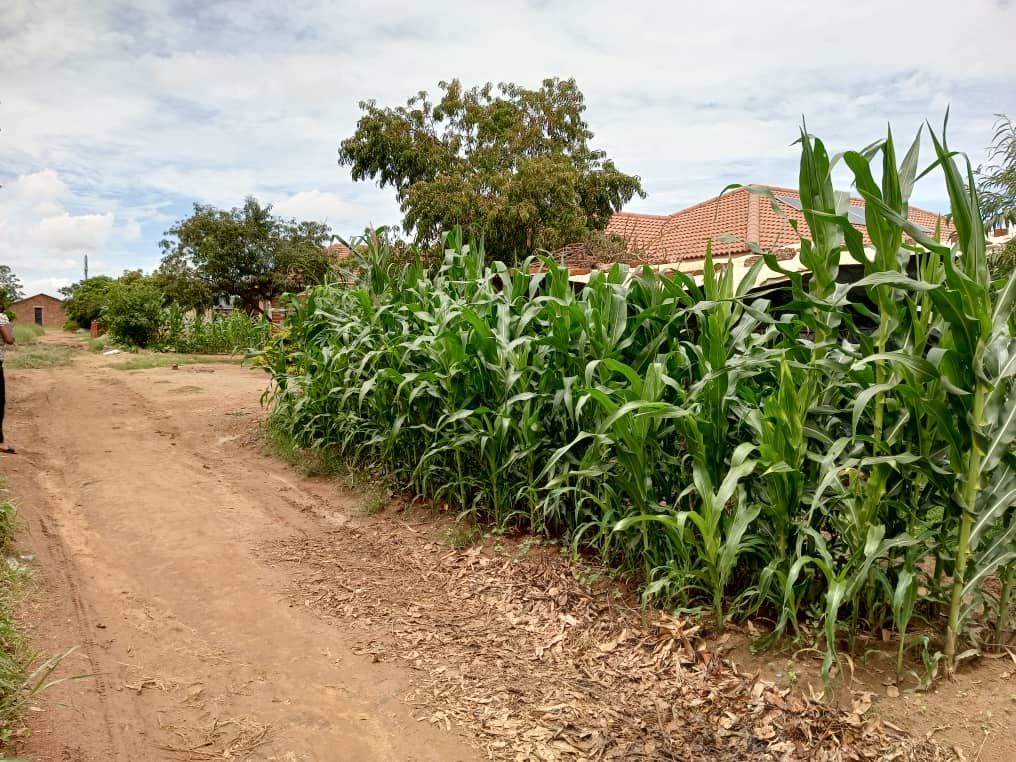 Property photo 2 of 3