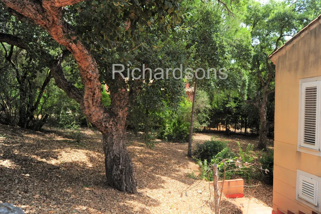 Property photo 2 of 39 <Alttext/>