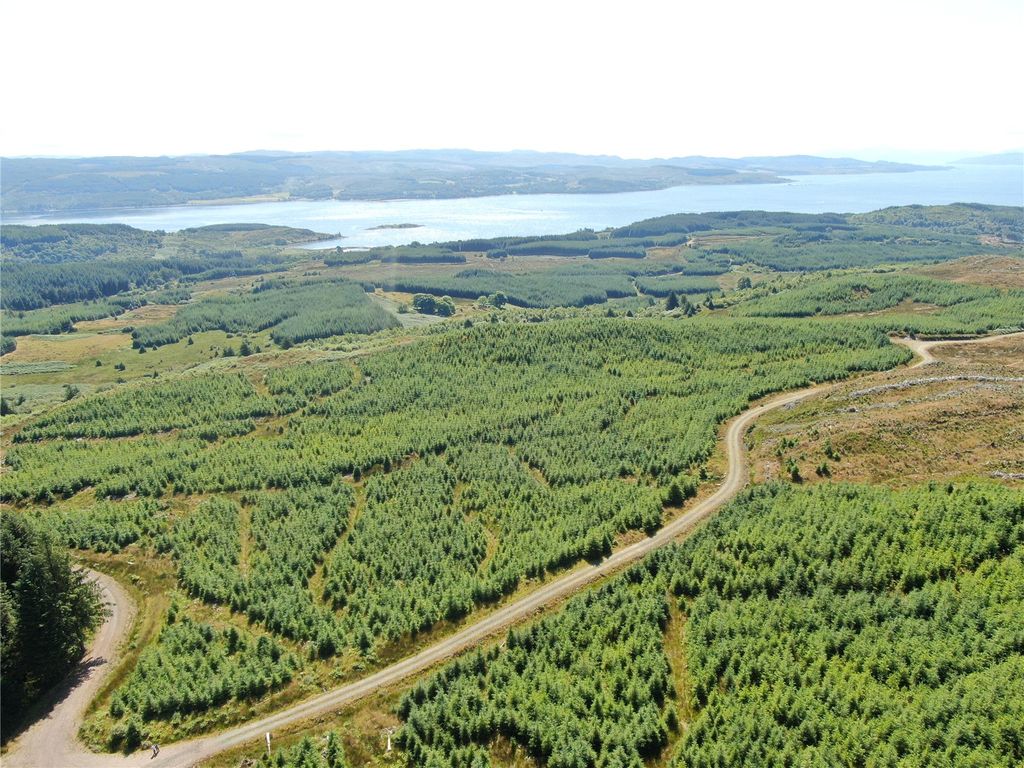 Property photo 1 of 13 Picture No. 01