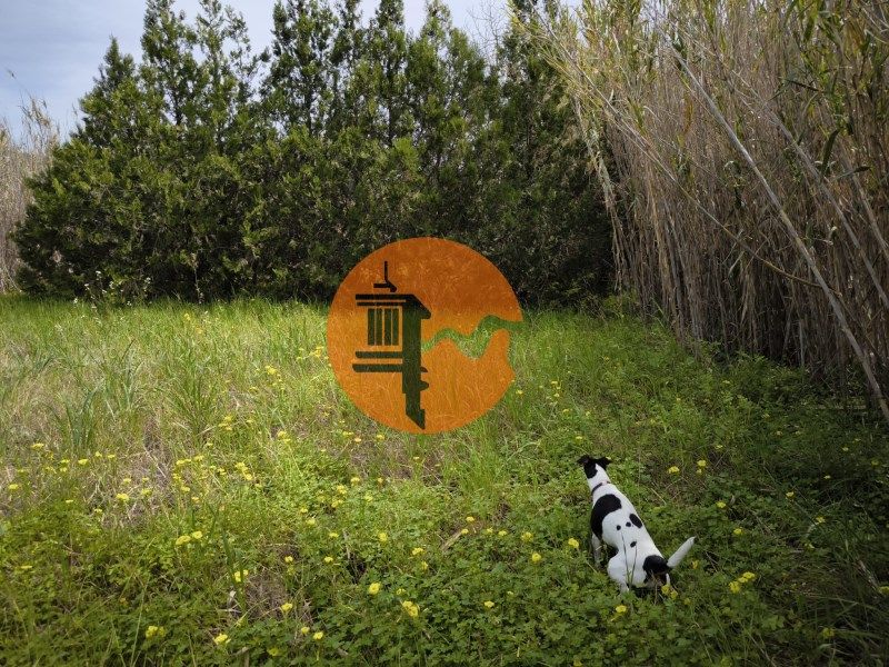 Property photo 3 of 45