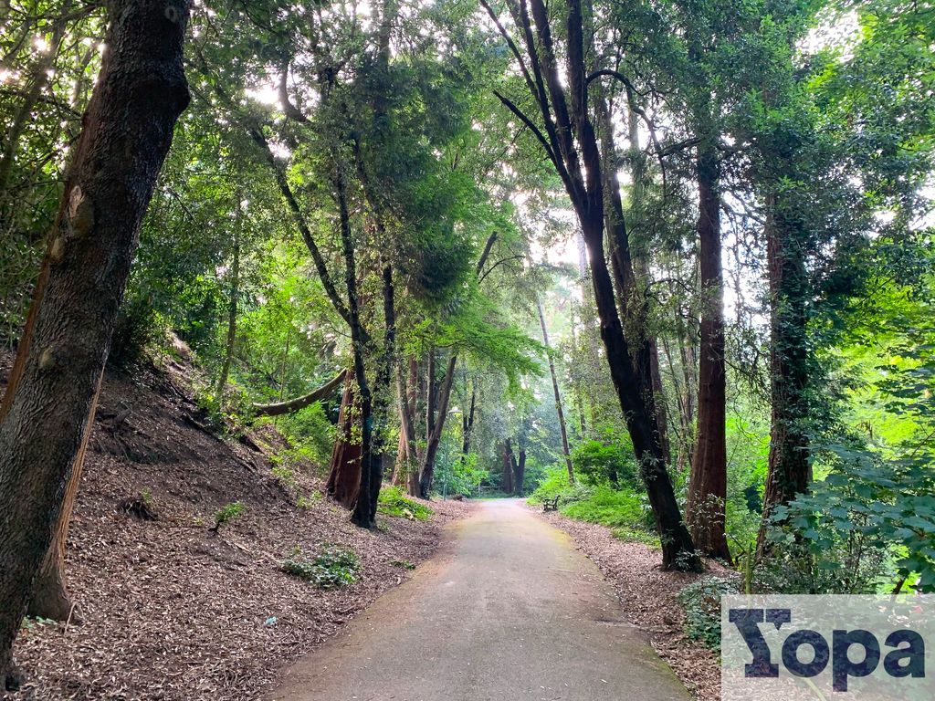 Property photo 3 of 14 Img_5042