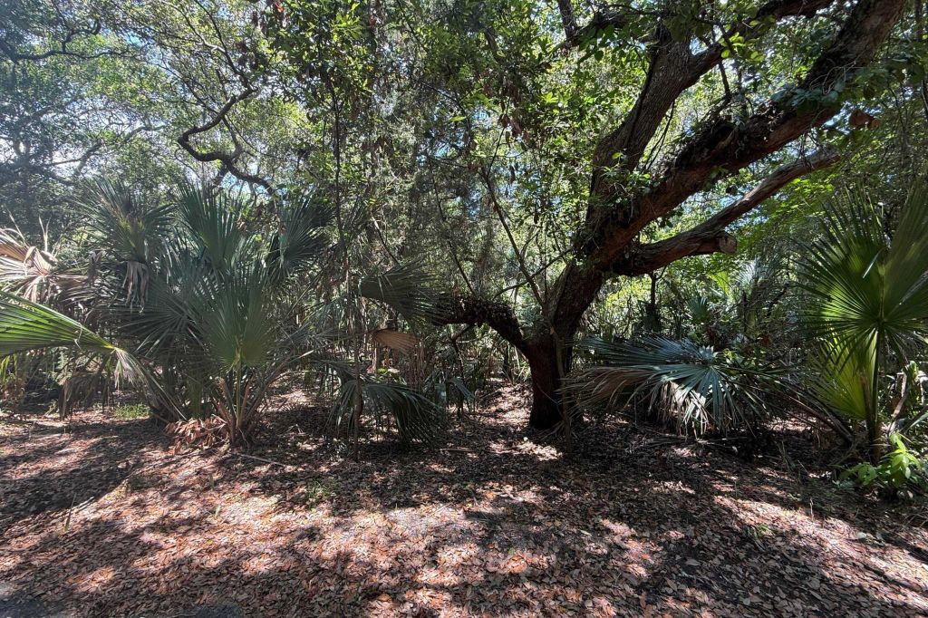 Property photo 1 of 3