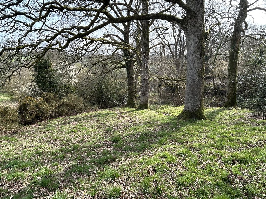 Additional image 6 of Land for saleHollocombe, Chulmleigh, Devon EX18