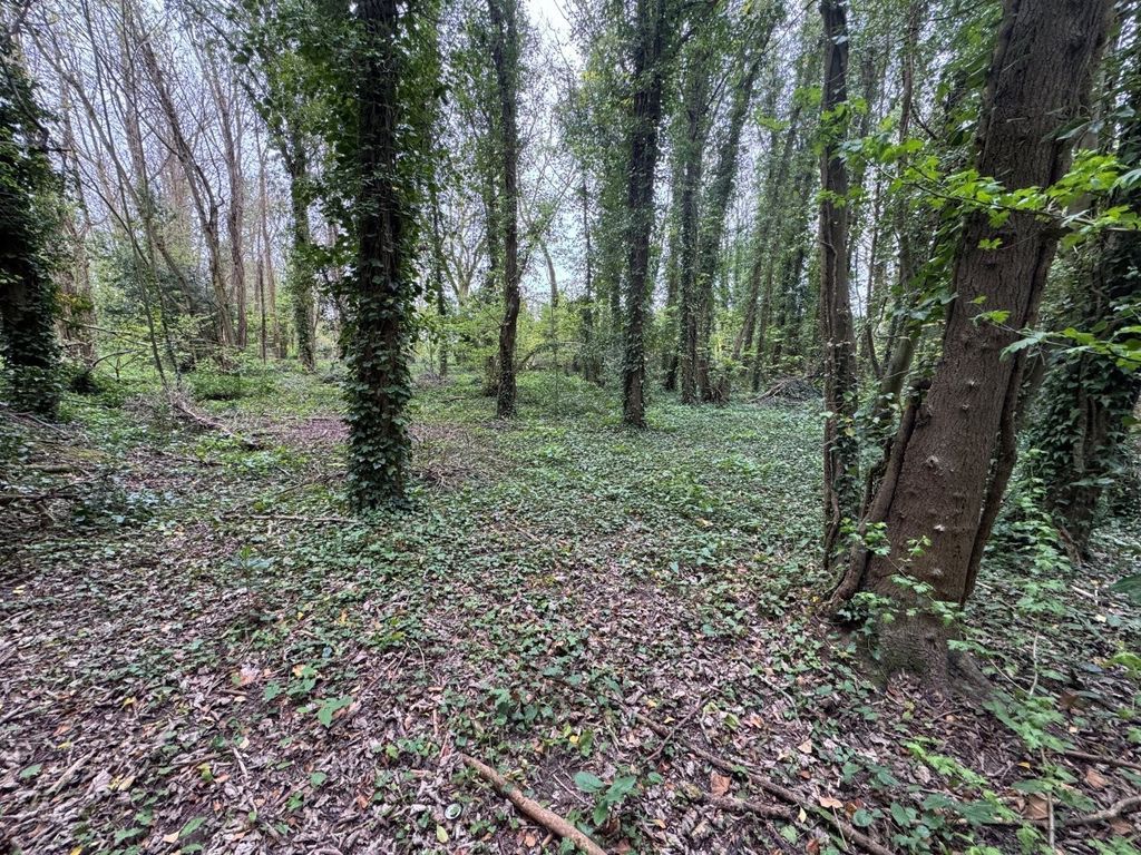 Property photo 1 of 5 Photo 1