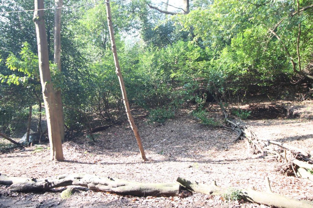 Property photo 2 of 3 Img_9686.Jpg