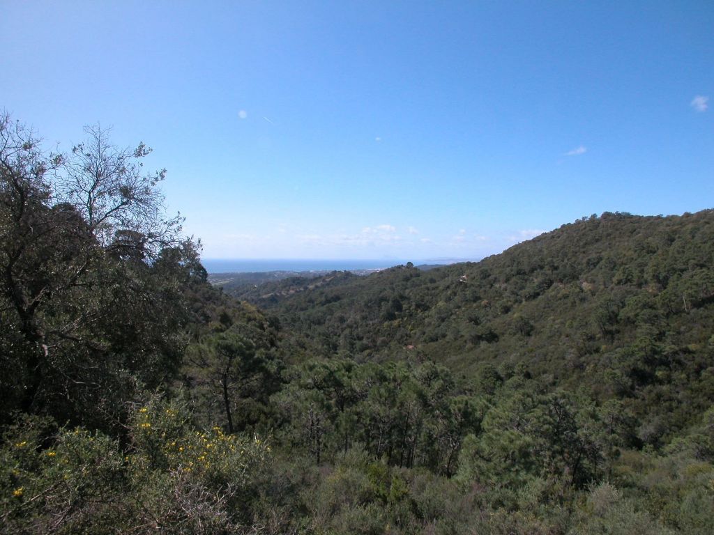 Property photo 1 of 2