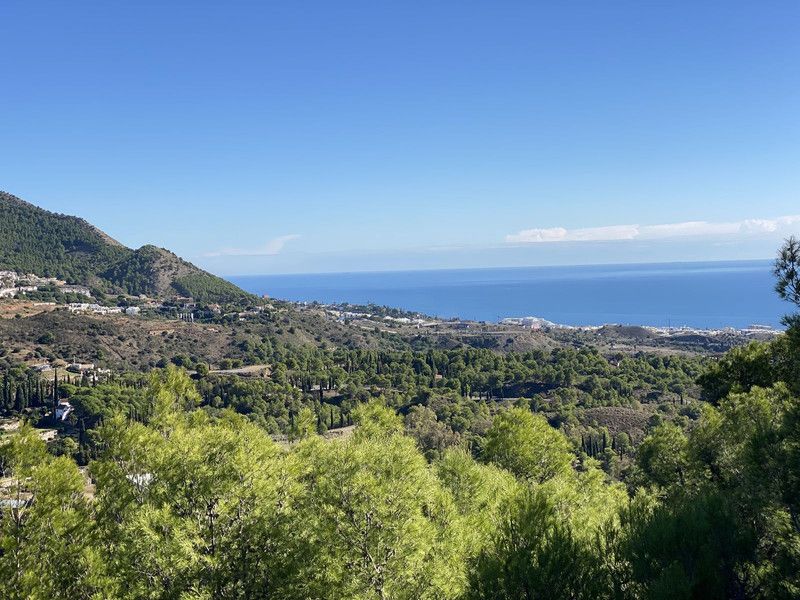 Property photo 2 of 59