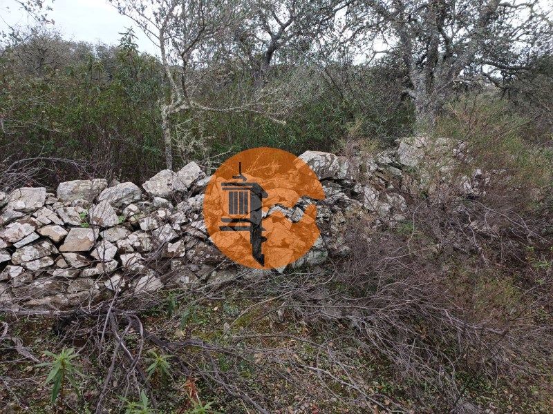 Property photo 3 of 30