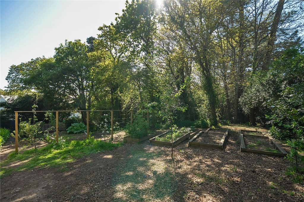 Property photo 2 of 14 Extra Land