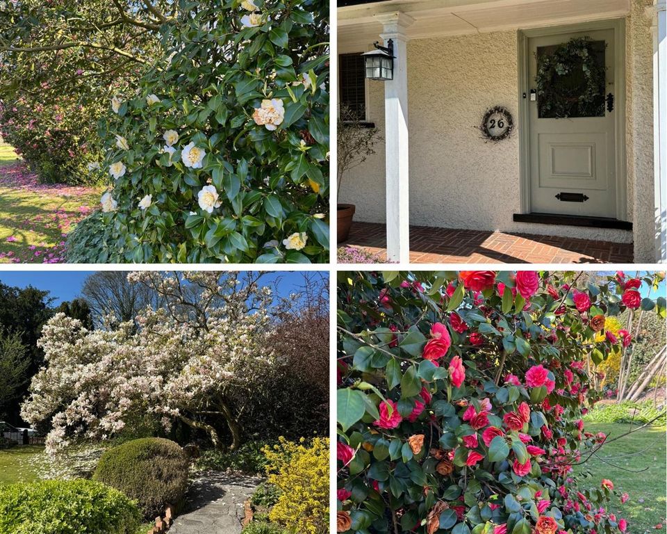 Property photo 3 of 29 Location