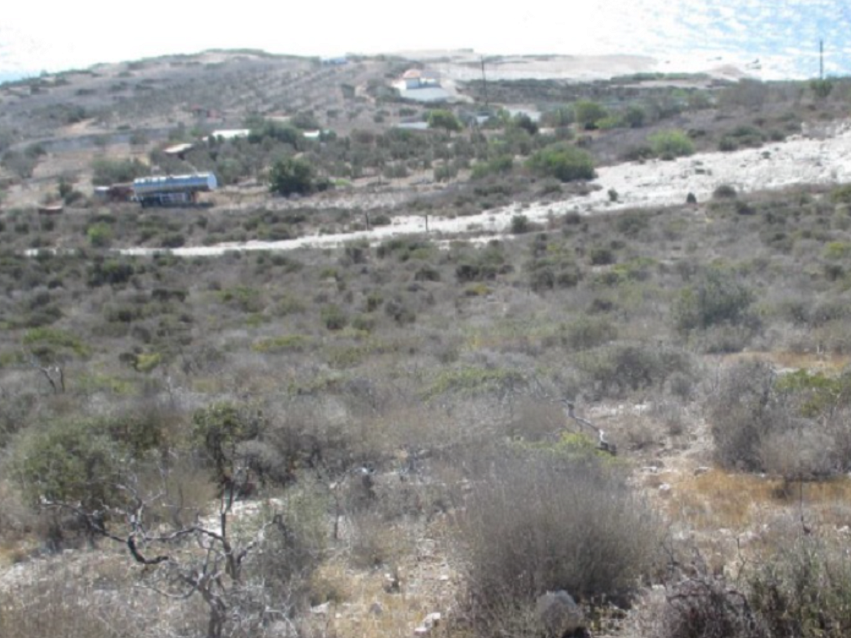 Property photo 1 of 1