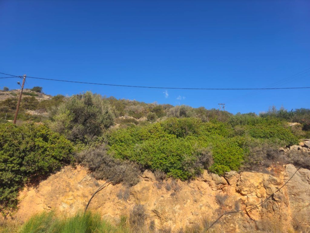 Property photo 3 of 21