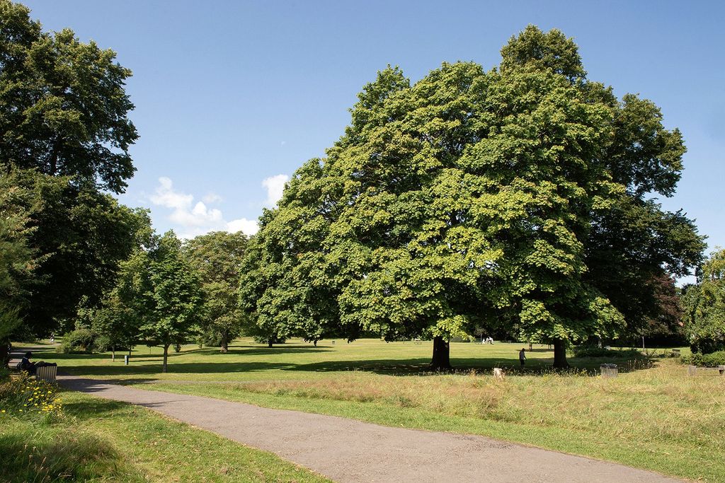 Property photo 3 of 6 Kidwell Park