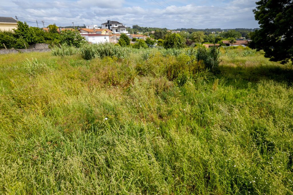 Property photo 2 of 18 Image
