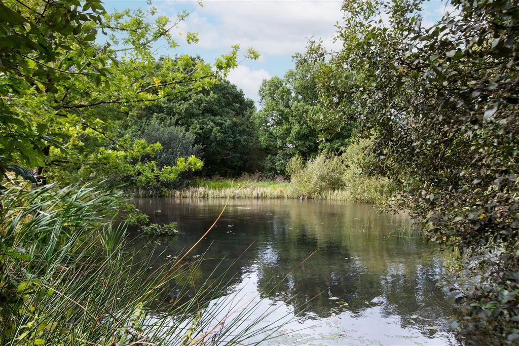 Additional image 21 of Land for saleBridestowe, Okehampton - Devon EX20