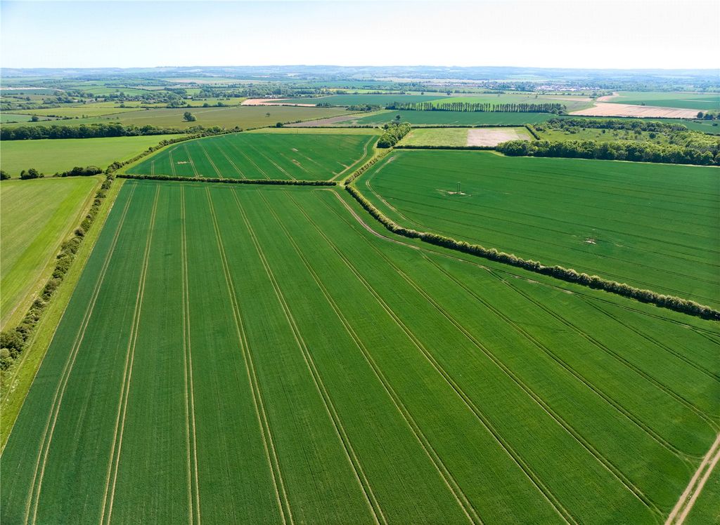 Property photo 3 of 20 Farmland