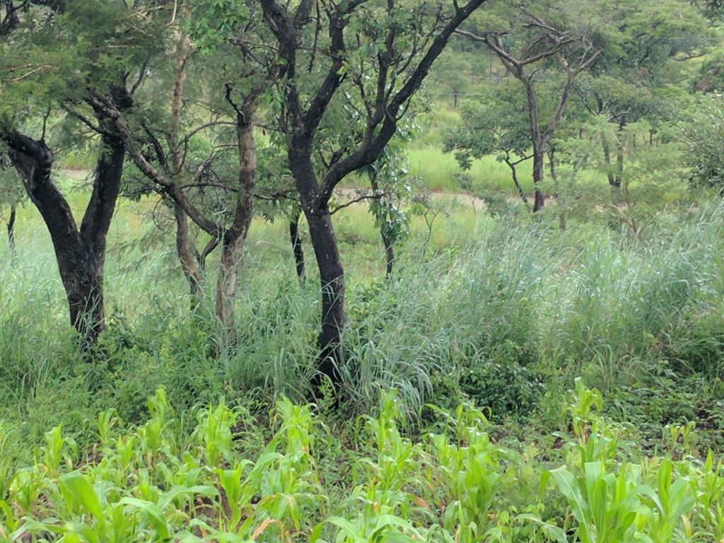 Property photo 3 of 4