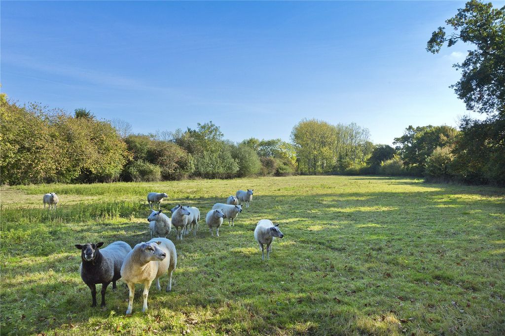 Property photo 2 of 8 Picture No. 02