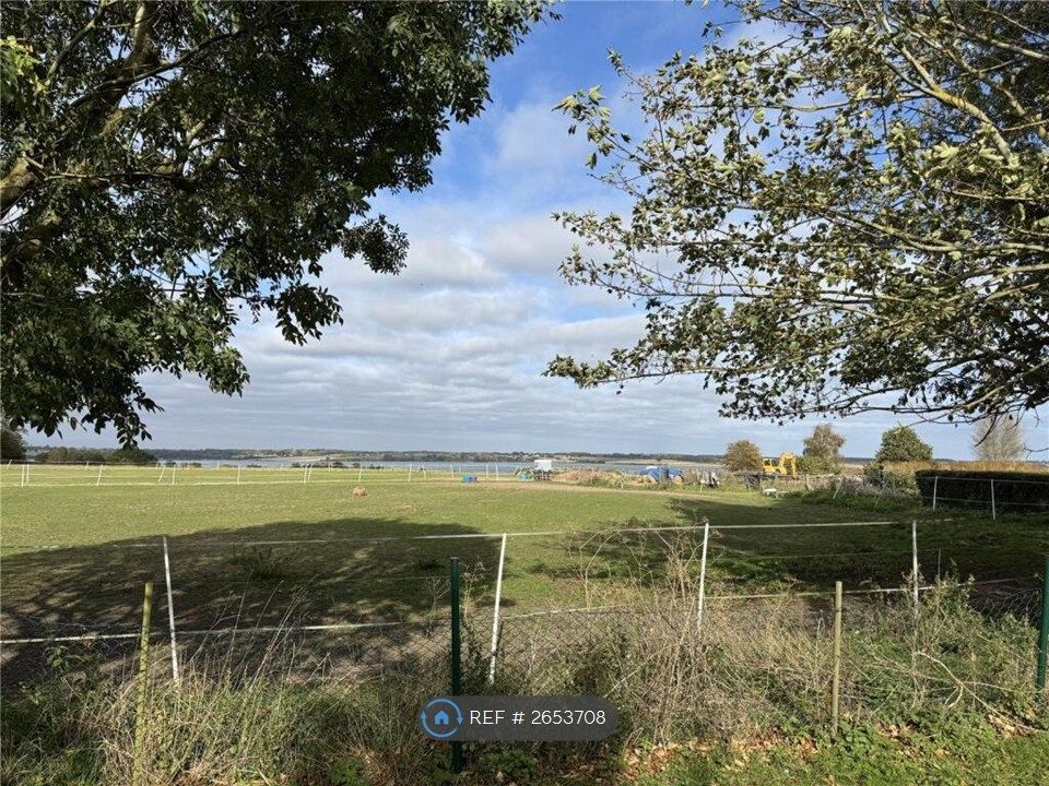 Property photo 1 of 14 Uninterrupted Views / Horses Grazing
