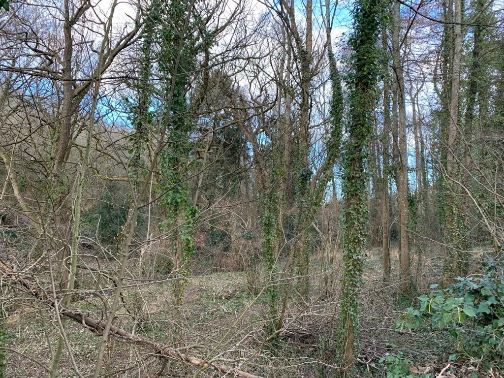 Property photo 3 of 11