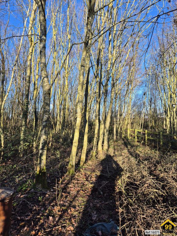 Property photo 3 of 24 Photo 2