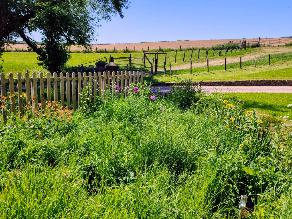 Property photo 3 of 16 1000013047